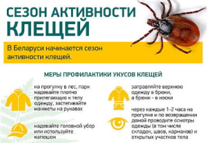 Осторожно! Клещи!